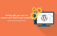 Hướng dẫn get user và custom user field trong wordpress