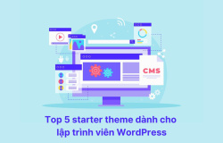 Top 5 starter theme dành cho lập trình viên WordPress