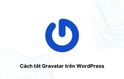 Cách tắt Gravatar trên WordPress