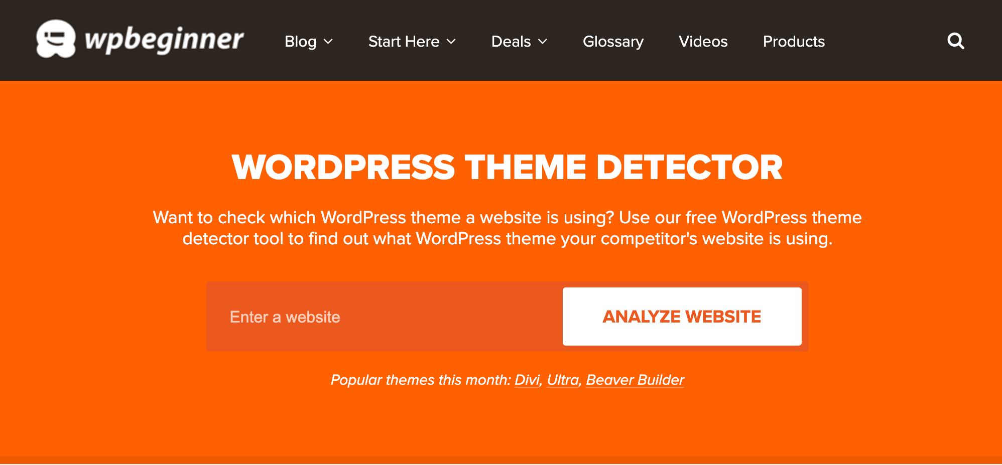 Sử dụng Công cụ WordPress Theme Detector
